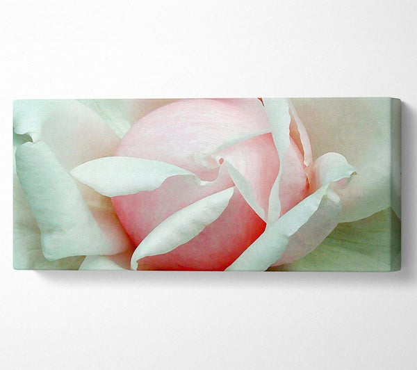 Soft Pink Rose Bud