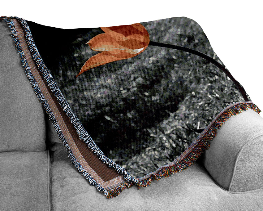 Orange Tulips On B n W Woven Blanket