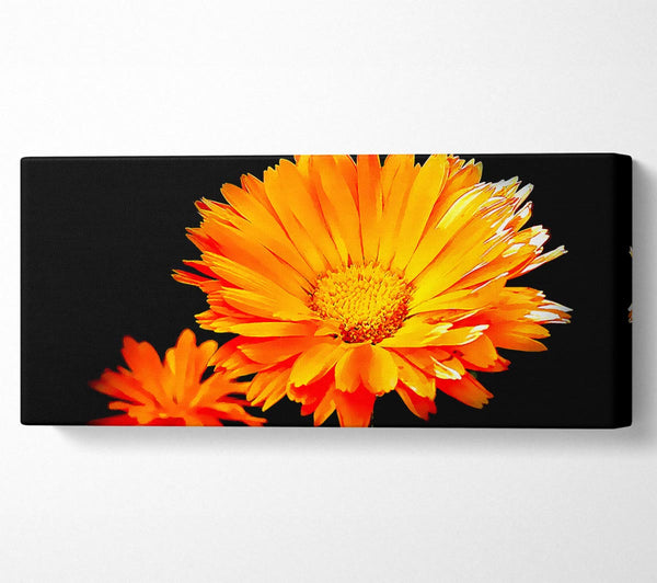 Vibrant Orange Gerberas