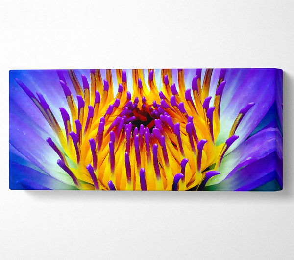 Vibrant Purple Water Lily