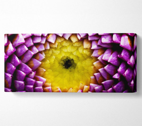 Purple Petal Delight