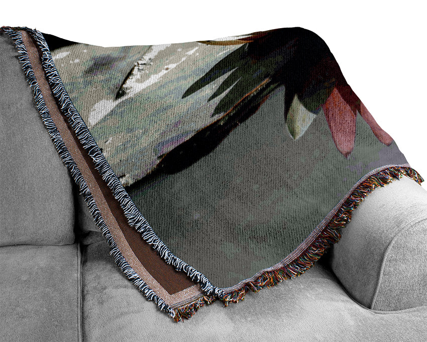 Pink Water Lily Reflections B n W Woven Blanket