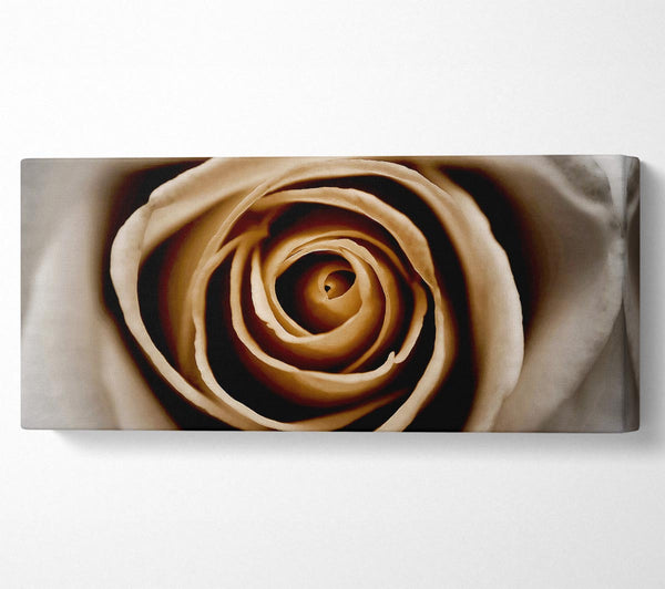 Stunning Sepia Rose Close-Up