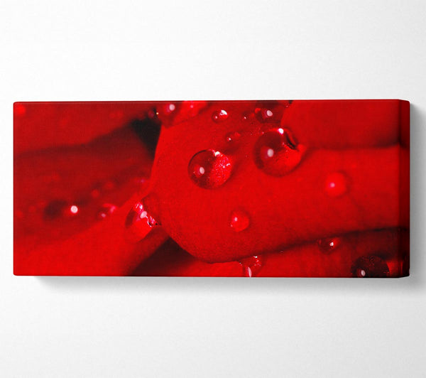 Red Petal Dew Drop