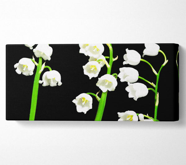Summer Bells