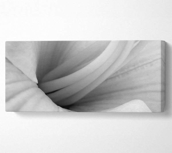 Soft Centre B n W