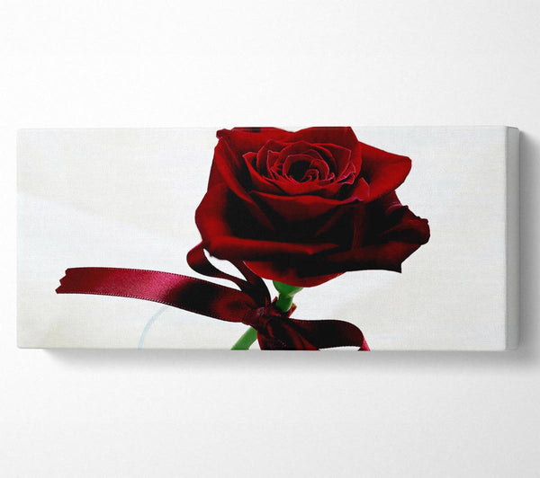 Deep Red Rose