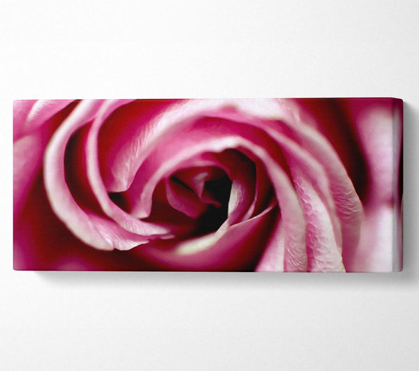 Pink Rose Centre
