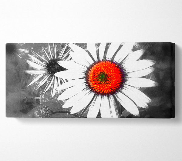 Daisy Centre