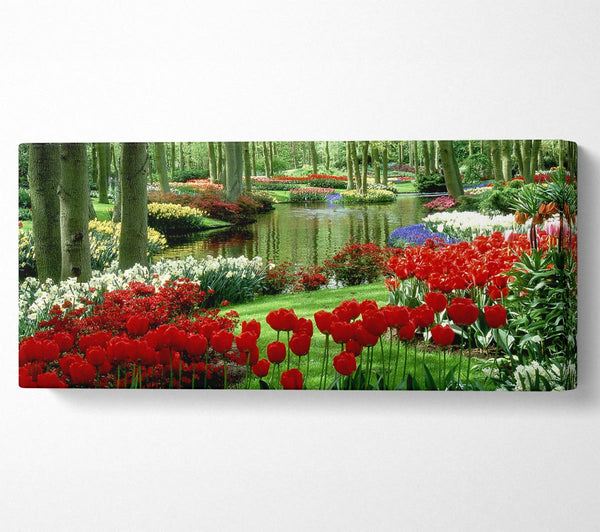 Tulip River