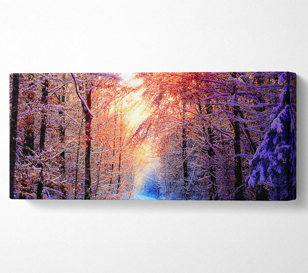 Winter Sun Blaze