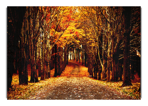 Late Autumn