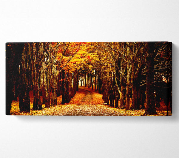 Late Autumn