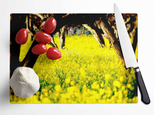 Orchard Sun Beam Glass Chopping Board