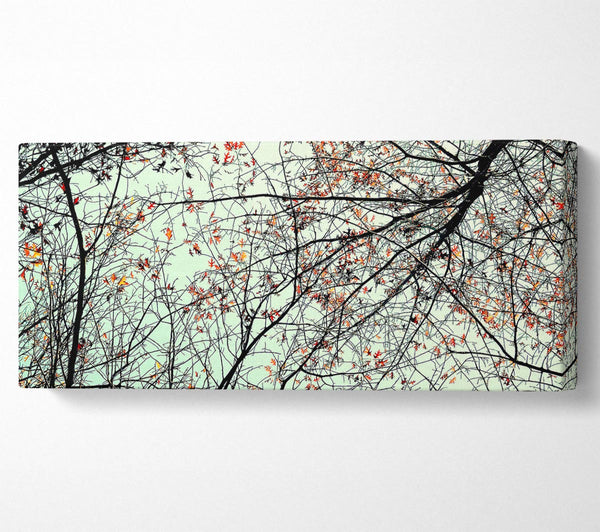 Trees In The Sky