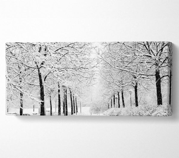 Winter In The Park Black And White