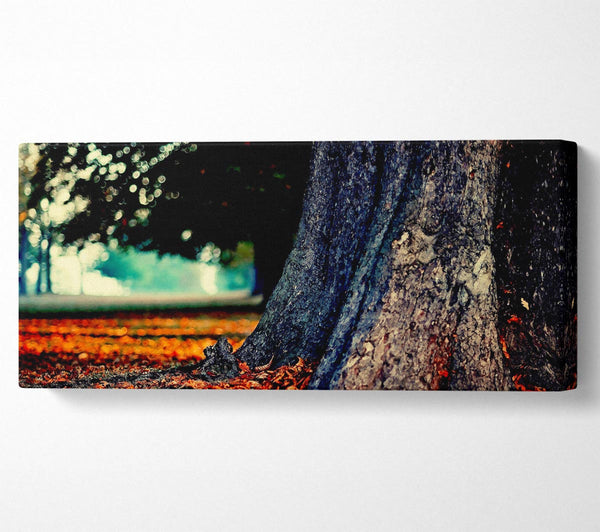 Tree Trunk In Autumn