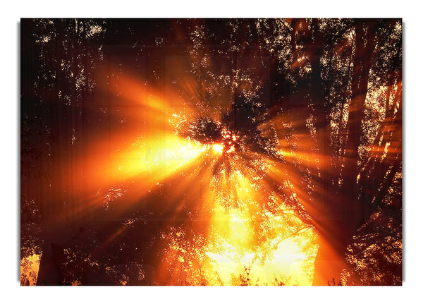 Nature Landscape Sun And Sky 66