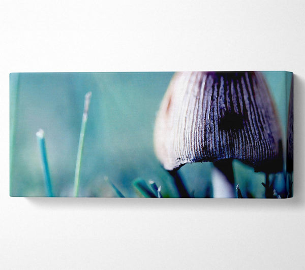 Wild Mushroom