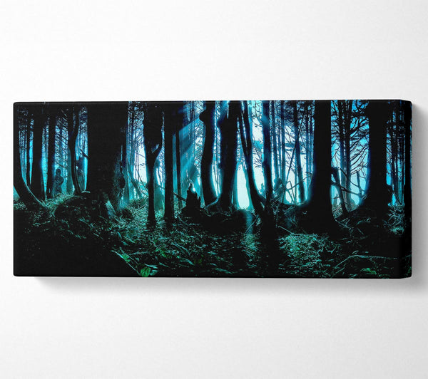 Mysterious Forest