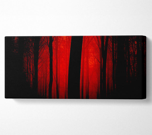 Blood Red Forest