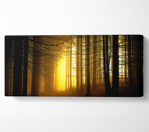 Golden Forest Light