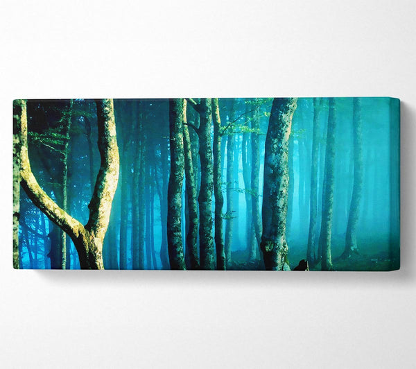 Midnight Blue Forest