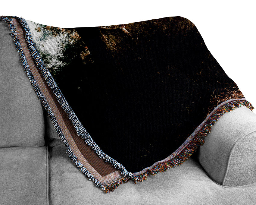 Forest Sunlight Walk Woven Blanket