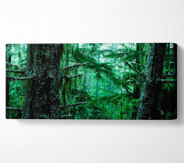 Emerald Forest