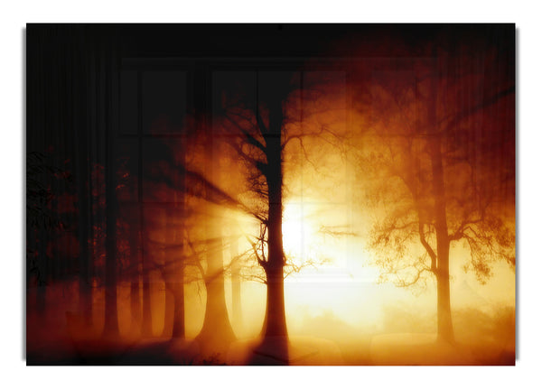 Magical Forest Light