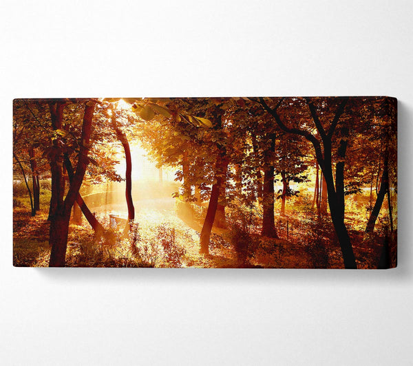Ochre Forest