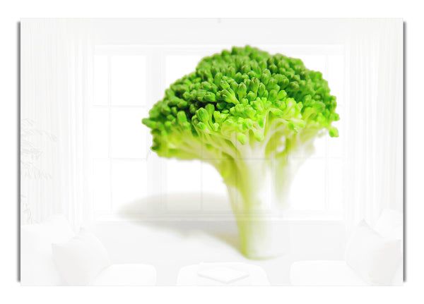 Brocolli Stem
