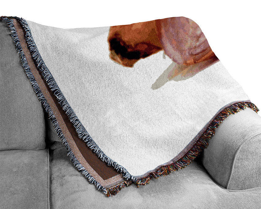 Onion Affair Woven Blanket