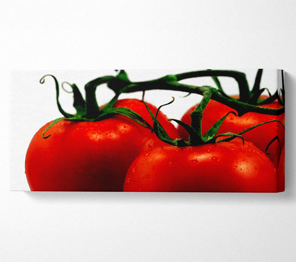 Tomato Trio