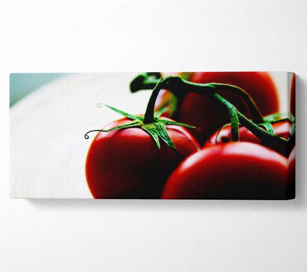 Tomato Stalk