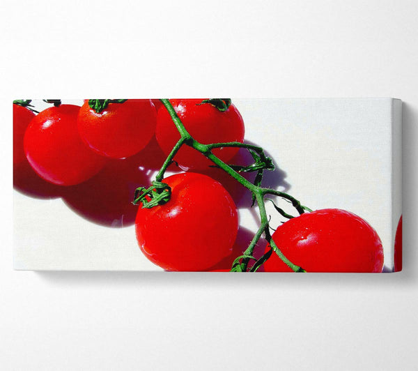 Red Cherry Tomato Vine