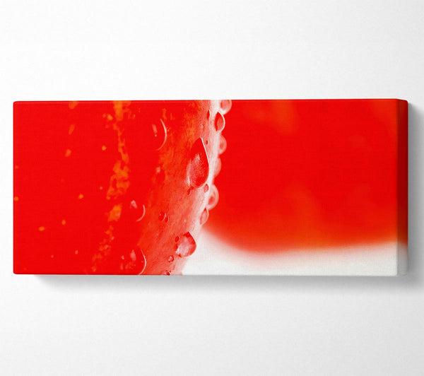 Red Apple Close-Up