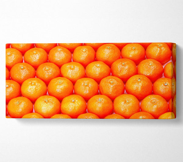 Orange Galour