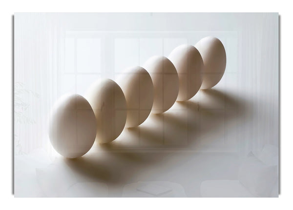 Weiße Eier marschieren