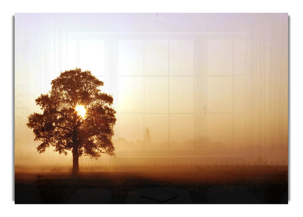 Flugplatz Sunrise