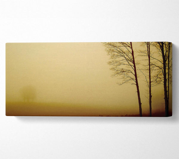 Naked Trees
