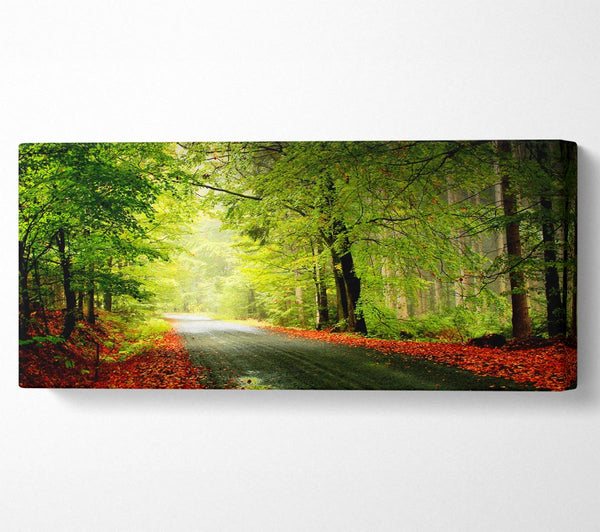 The Woodland Road