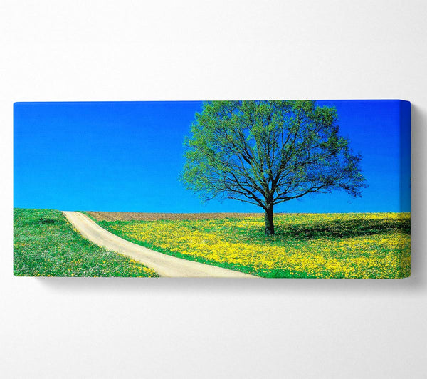 The Lonely Tree Road