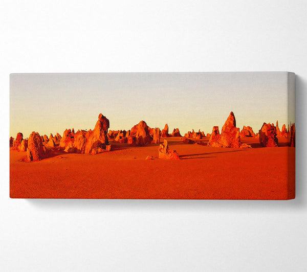 The Desert Rocks
