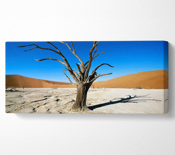 Desert Tree Branches
