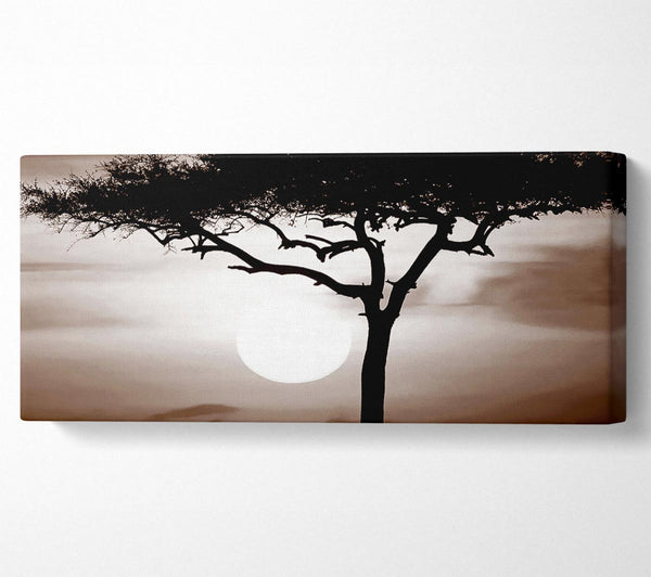 African Safari Brown