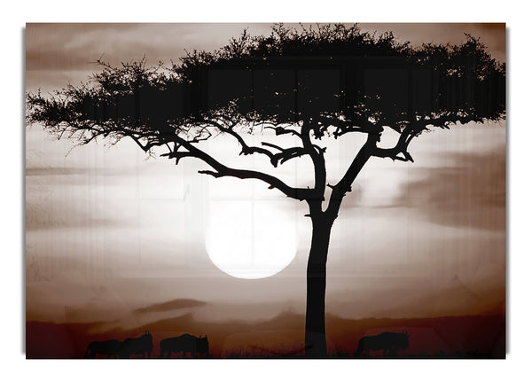 Afrikanische Safari Braun