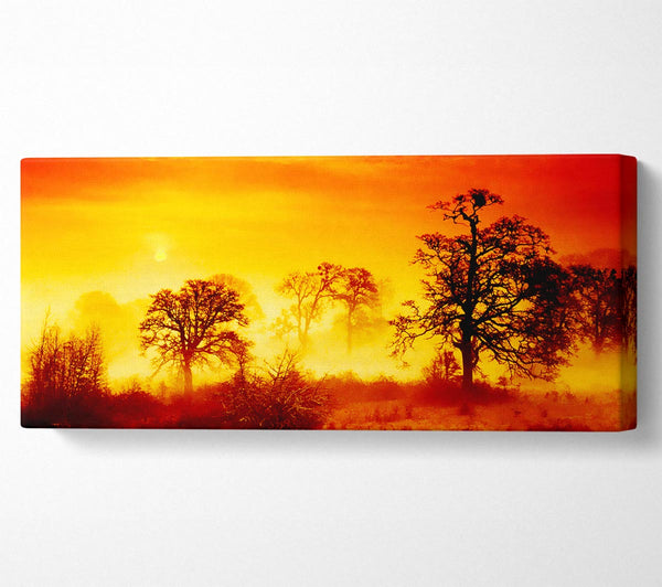 The Trees Awake
