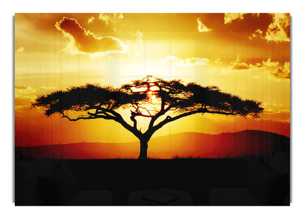 Afrikanischer Baum bei Sonnenuntergang