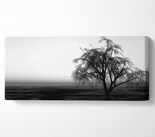 The Way The Wind Blows B n W